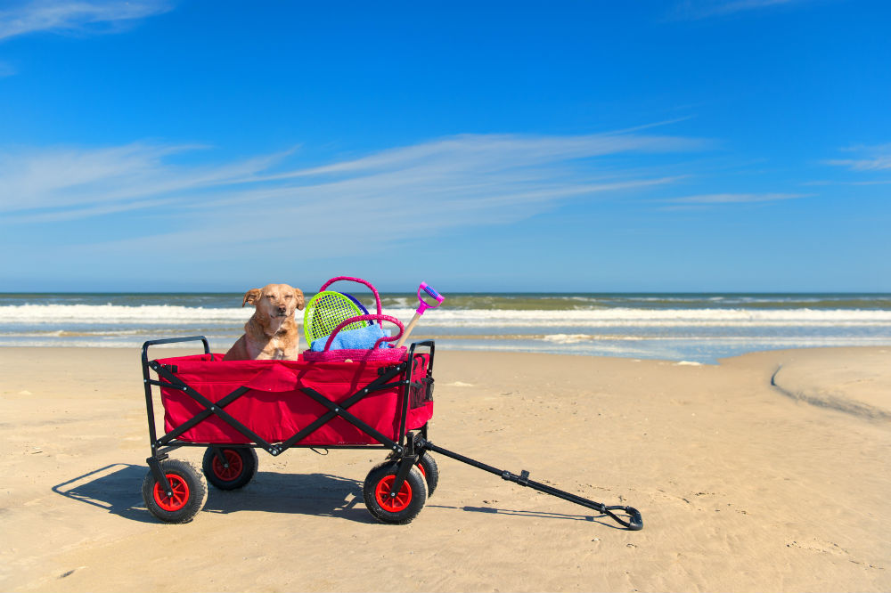 The Best Beach Carts